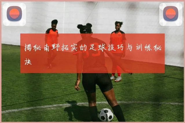 揭秘南野拓实的足球技巧与训练秘诀